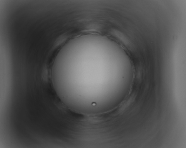 X0000101391258200807071150
