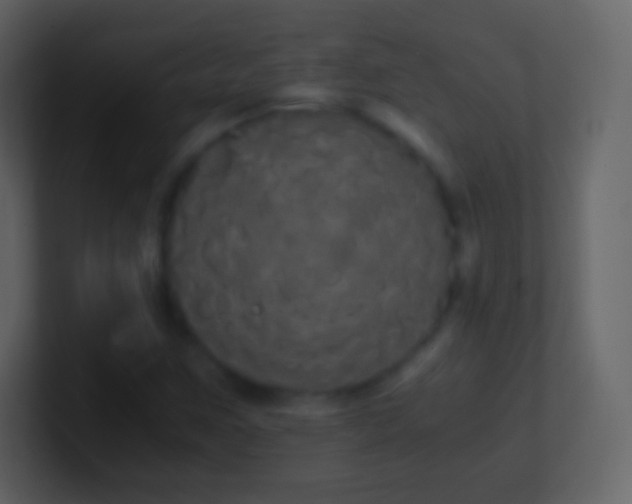 X0000101391259200807071150