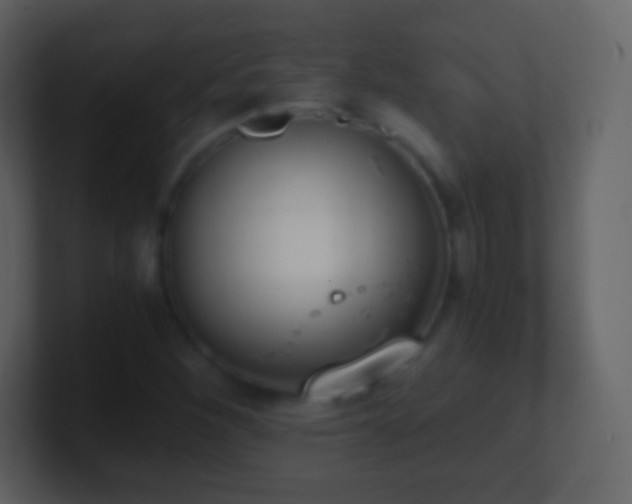 X0000101391260200807071150