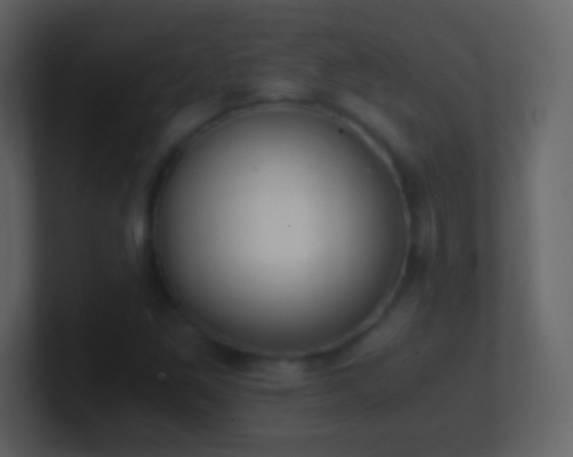X0000101391261200807071150