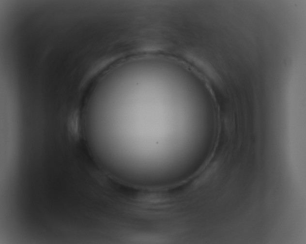 X0000101391262200807071150