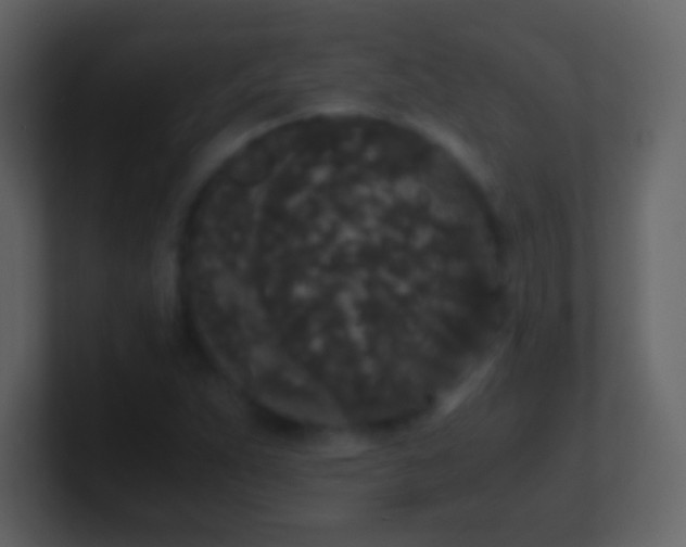 X0000101391263200807071150