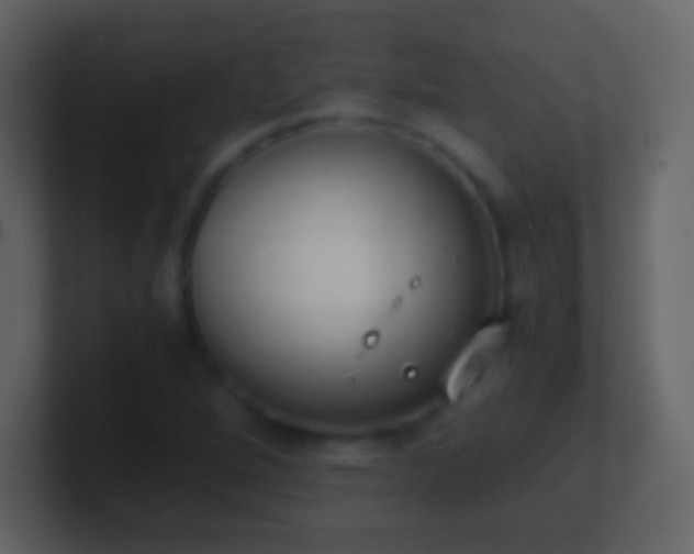 X0000101391264200807071150