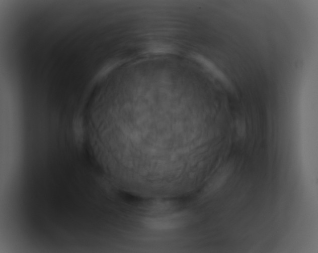 X0000101391266200807071150