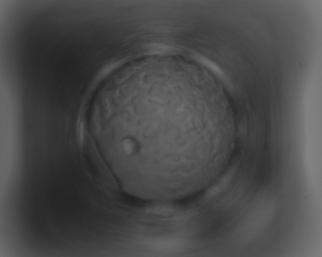 X0000101391267200807071150