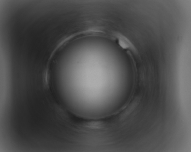X0000101391268200807071150