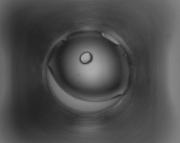 X0000101391269200807071150
