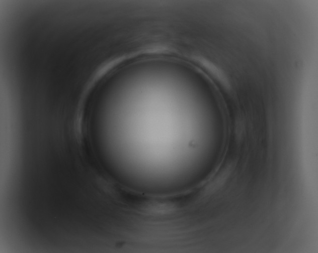 X0000101391270200807071150