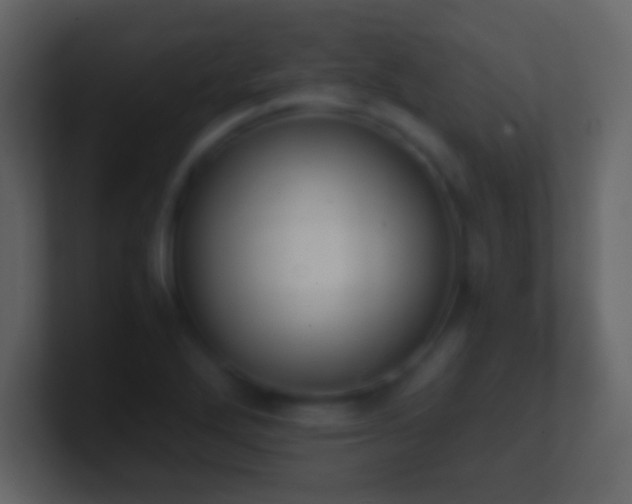 X0000101391272200807071150