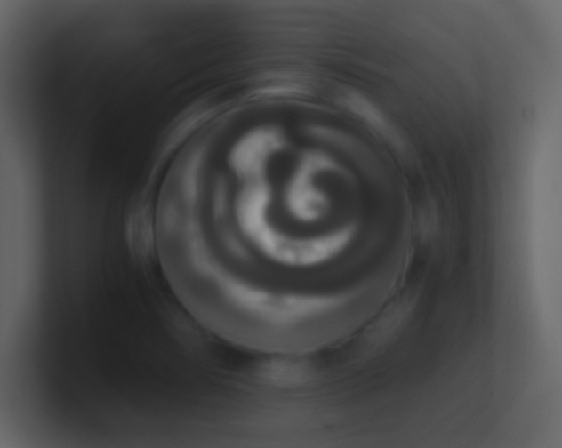 X0000101391274200807071150
