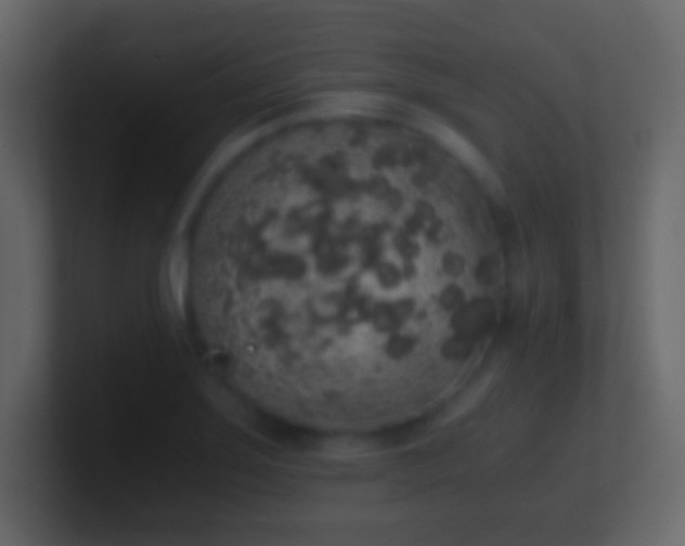 X0000101391275200807071150