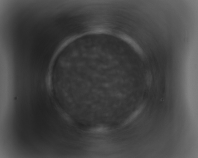 X0000101391278200807071150