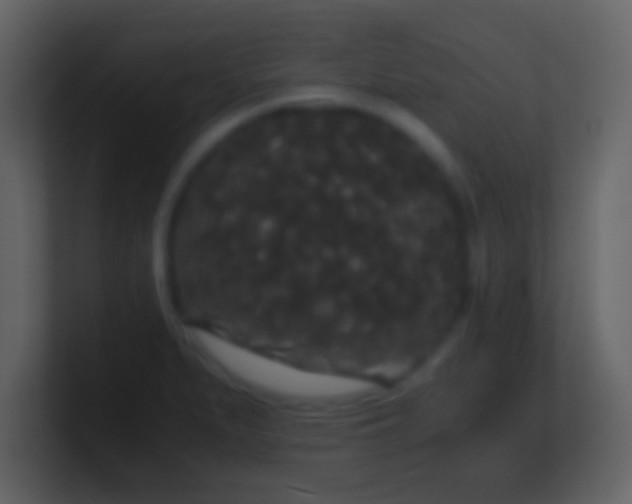 X0000101391279200807071149