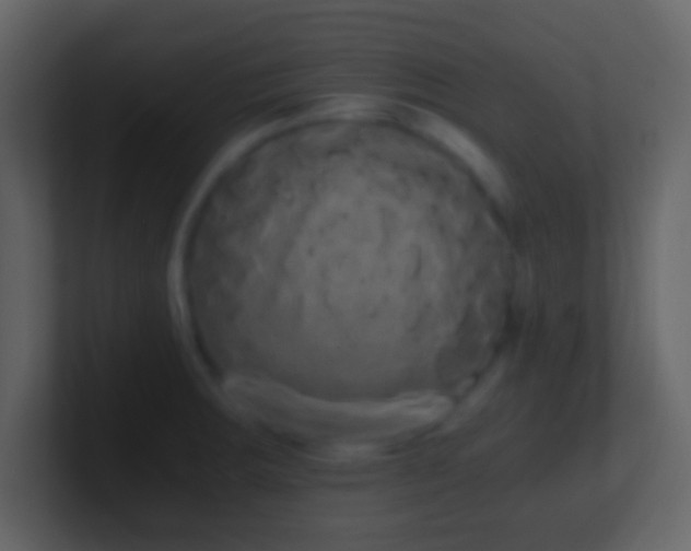 X0000101391283200807071149