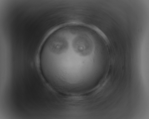 X0000101391287200807071149