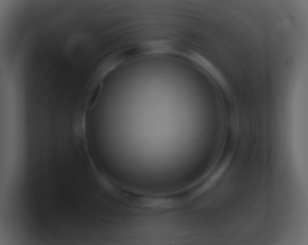 X0000101391289200807071149