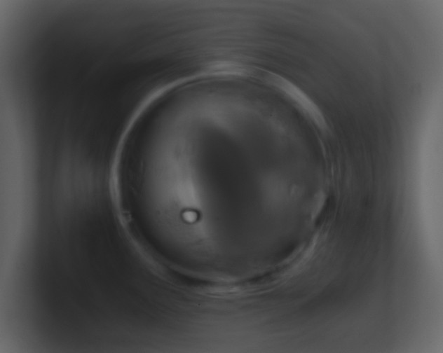 X0000101391291200807071149