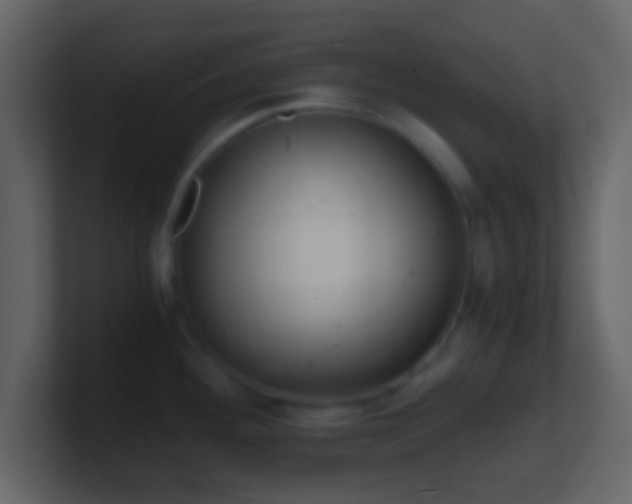 X0000101391292200807071149