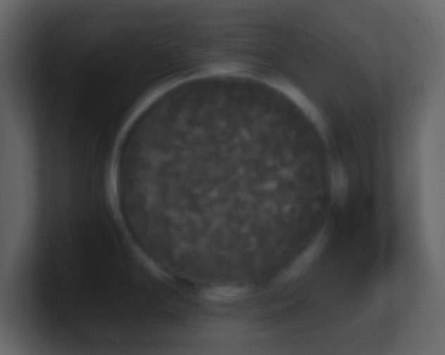 X0000101391294200807071149