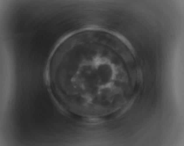 X0000101391295200807071149