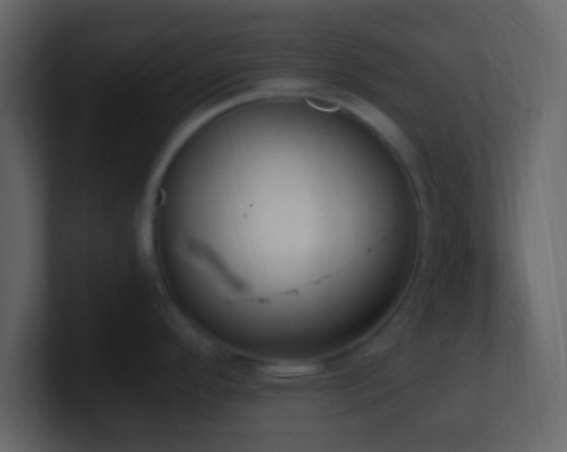 X0000101391296200807071149