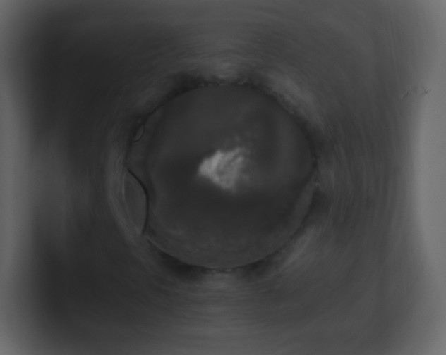 X0000101391297200807071149