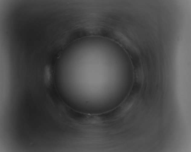 X0000101391298200807071149