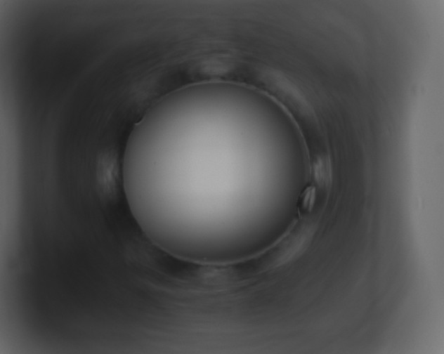 X0000101391299200807071149