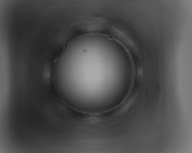 X0000101391300200807071149