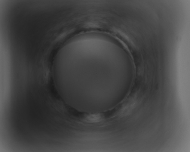 X0000101391303200807071149