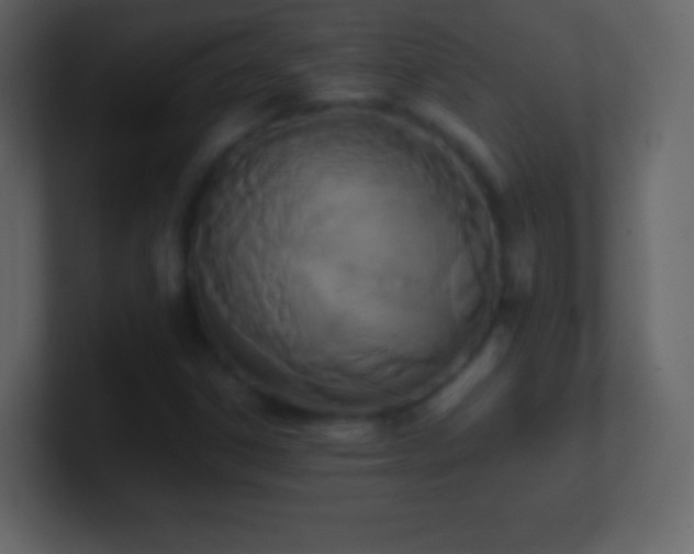 X0000101391306200807071149