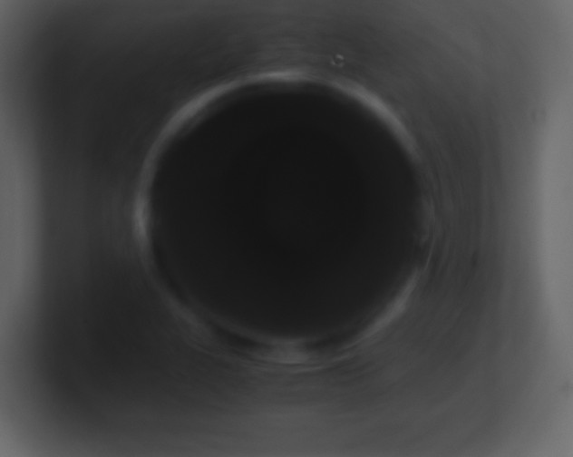 X0000101391319200807071149