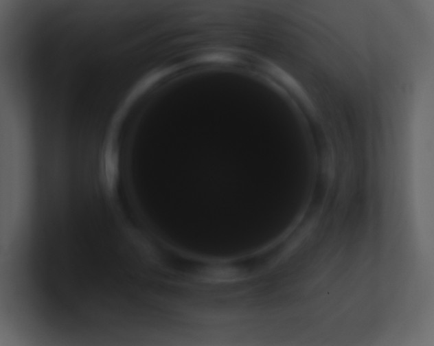 X0000101391323200807071149