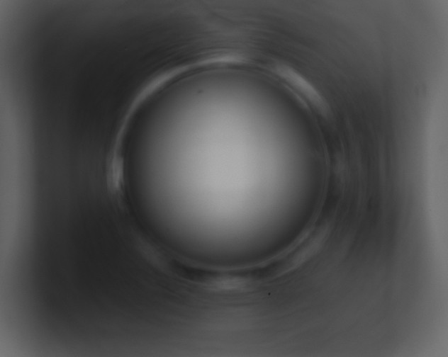 X0000101391324200807071149