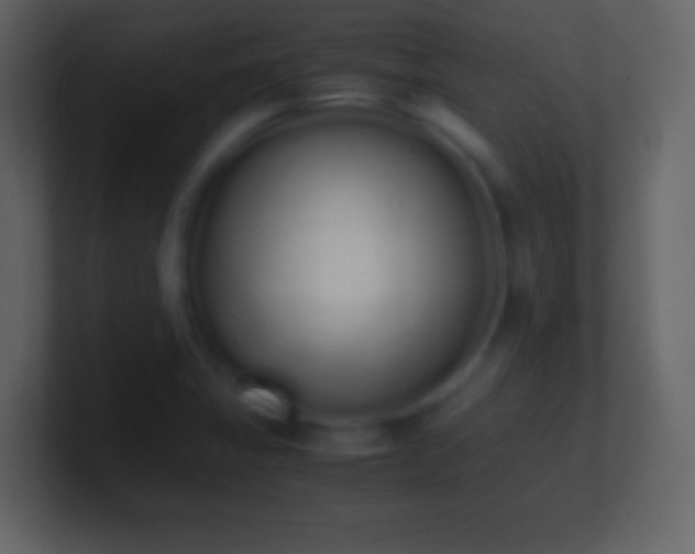 X0000101391325200807071149