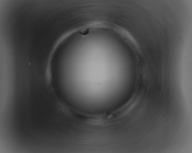X0000101391328200807071149