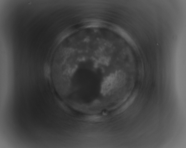 X0000101391329200807071149