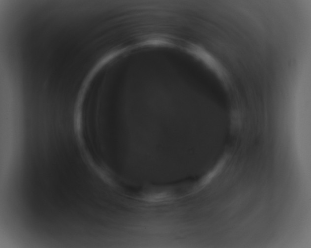 X0000101391331200807071149