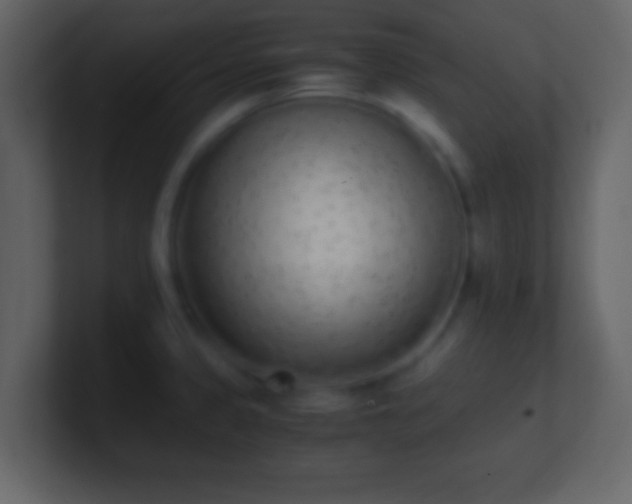 X0000101391333200807071149