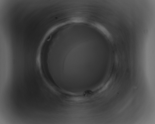 X0000101391334200807071149