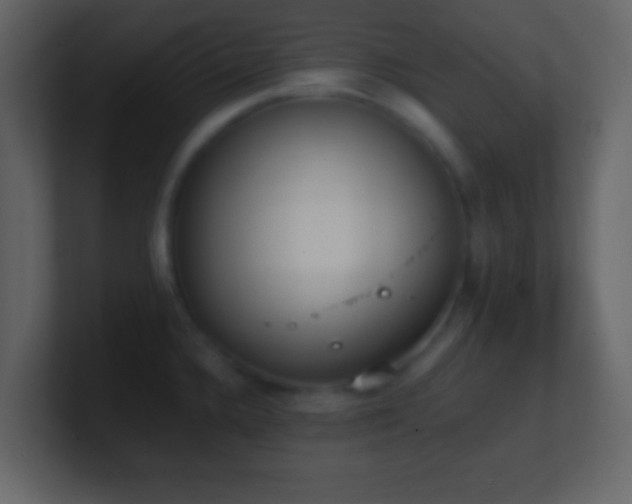 X0000101391336200807071149