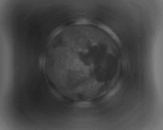 X0000101391337200807071149