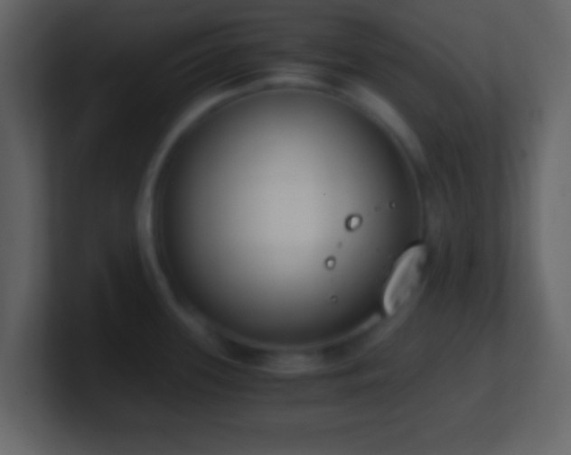 X0000101391339200807071149