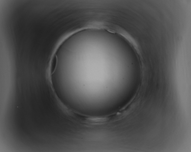 X0000101391344200807071149