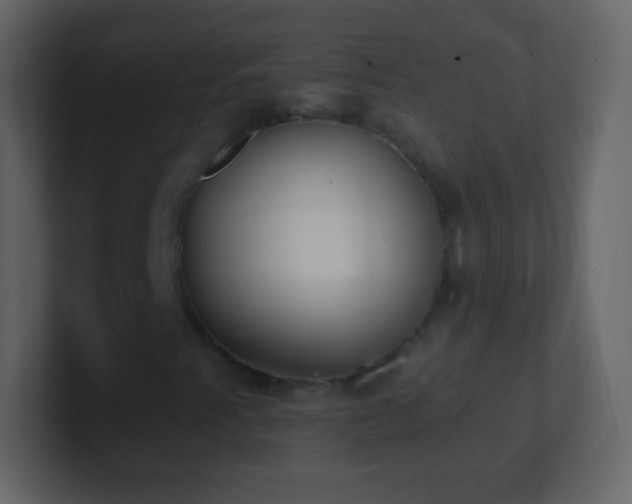 X0000101391345200807071149
