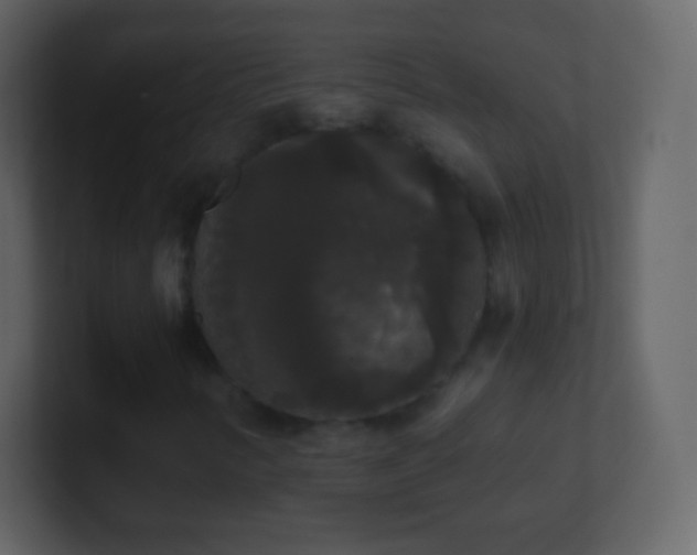 X0000101391346200807071149