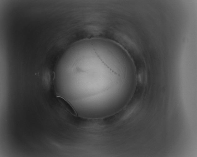 X0000101391347200807071149
