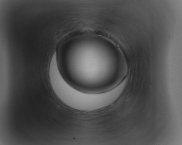 X0000101391348200807071149