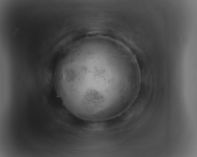 X0000101391351200807071149