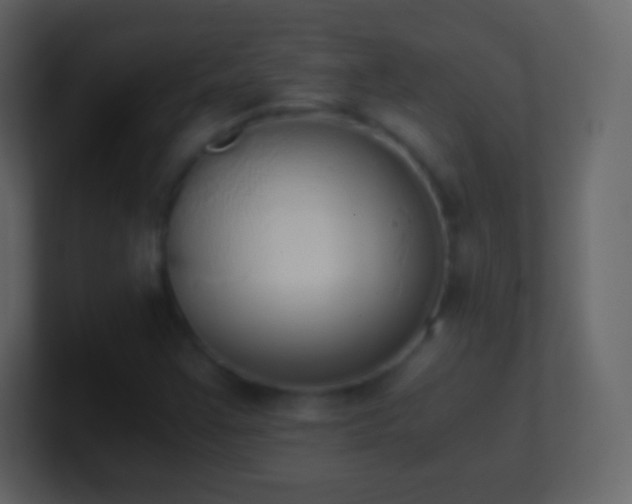 X0000101391355200807071148